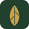 KantiGlow logo