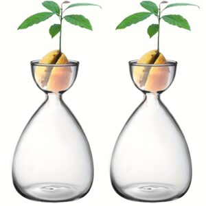 🥑 2-Pack Avocado Seed Glass Vase – Transparent Hydroponic Planter for Eco-Friendly Home Decor