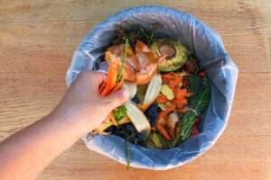 Digital Doc - The Plate's Promise: Unmasking Food Waste, Igniting Action 🌍 (FREE Download)