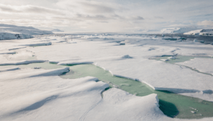 🧊 Greenland’s Riches at Risk: Ecology vs. Trump’s Security Gambit (2026 Strategic Briefing)