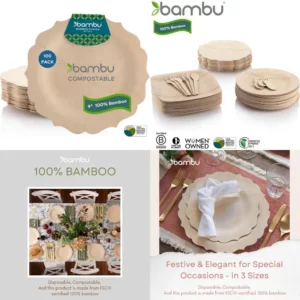 Eco-Friendly Biodegradable Bamboo Plates, 100 Count, 9 Inch, Disposable for Parties and Events