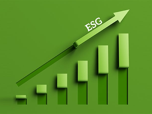 How to Choose Between ESG and Traditional ETFs in 2026: The Real Cost of NESG, SPXE vs EQQS and SPXS